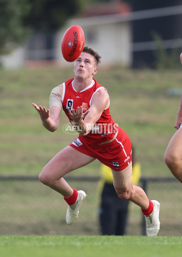 VFL 2024 Round 06 - Northern Bullants v Port Melbourne - A-48738477