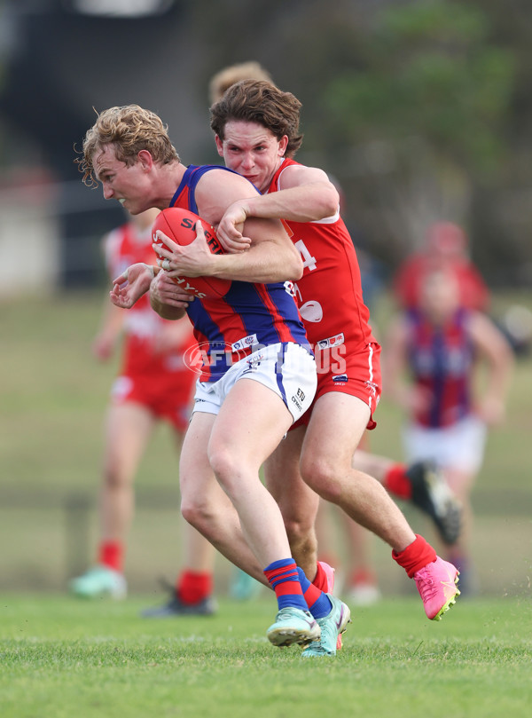 VFL 2024 Round 06 - Northern Bullants v Port Melbourne - A-48740794