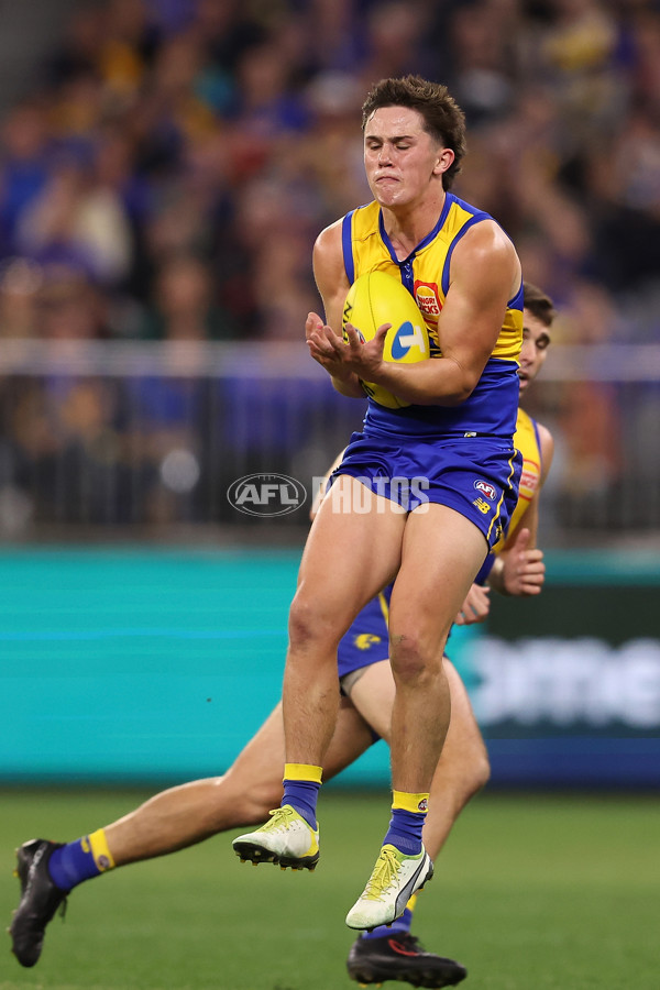 AFL 2024 Round 08 - West Coast v Essendon - A-48745834