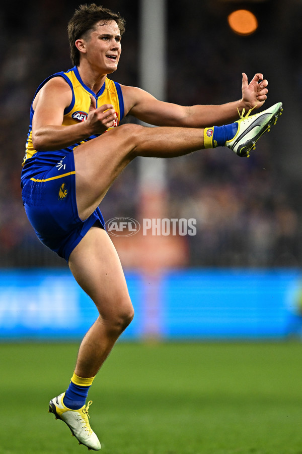 AFL 2024 Round 08 - West Coast v Essendon - A-48746782