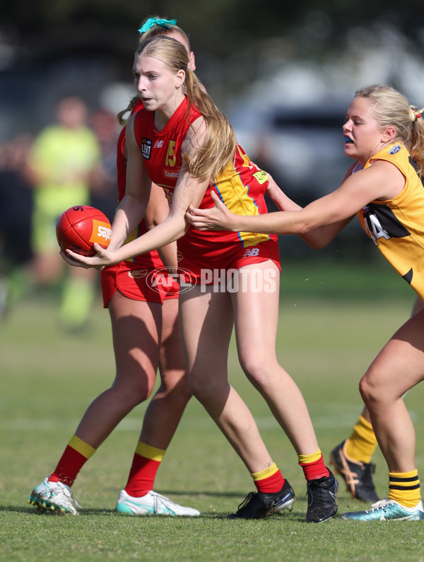 Coates League Girls 2024 Round 05 - Dandenong v Gold Coast SUNS Academy - A-48756451