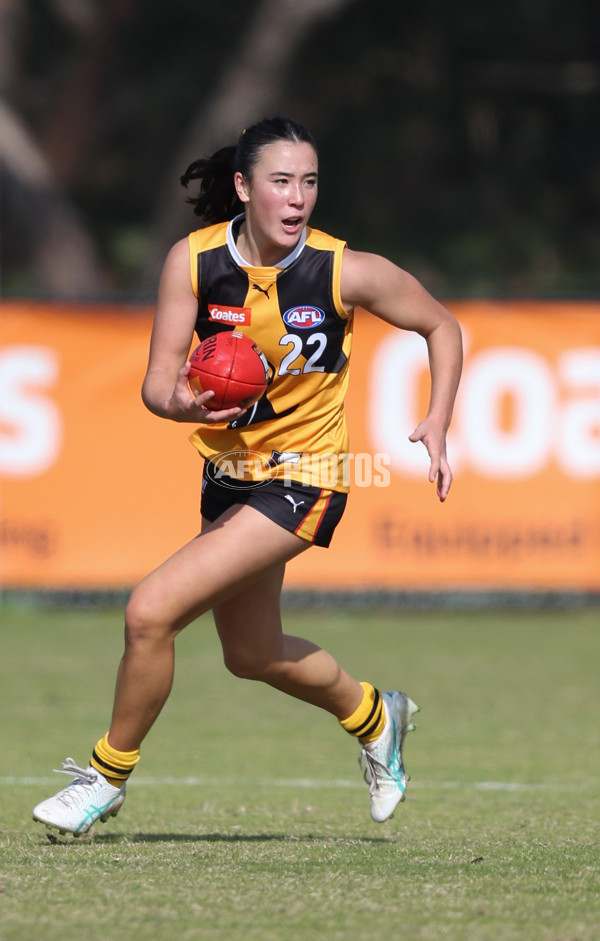 Coates League Girls 2024 Round 05 - Dandenong v Gold Coast SUNS Academy - A-48756454