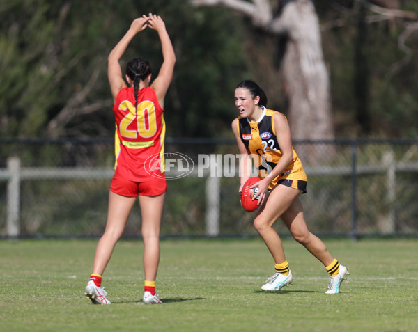 Coates League Girls 2024 Round 05 - Dandenong v Gold Coast SUNS Academy - A-48756459