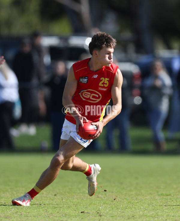 Coates League Boys 2024 Round 06 - Dandenong v Gold Coast SUNS Academy - A-48756499