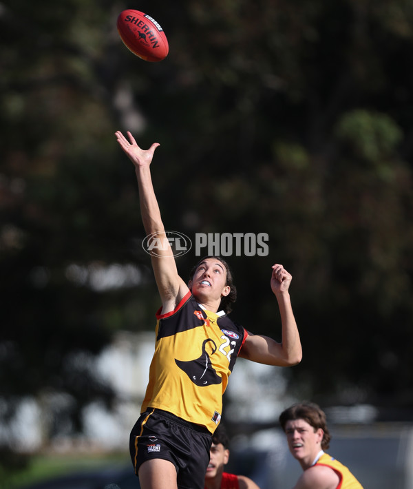 Coates League Boys 2024 Round 06 - Dandenong v Gold Coast SUNS Academy - A-48756501