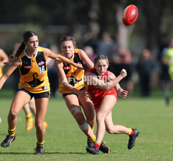 Coates League Girls 2024 Round 05 - Dandenong v Gold Coast SUNS Academy - A-48757348