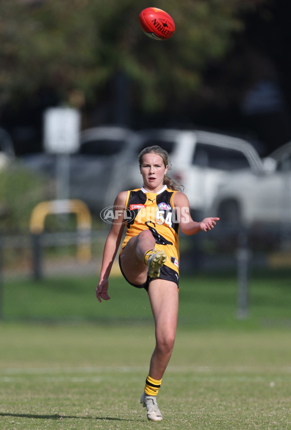 Coates League Girls 2024 Round 05 - Dandenong v Gold Coast SUNS Academy - A-48757349