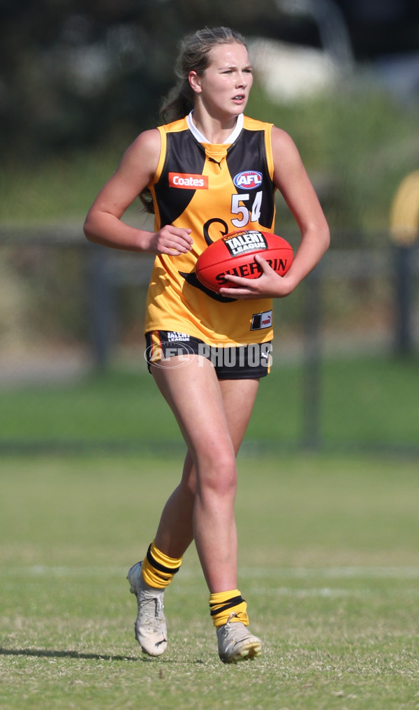 Coates League Girls 2024 Round 05 - Dandenong v Gold Coast SUNS Academy - A-48757355