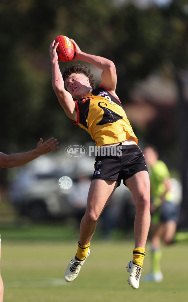 Coates League Boys 2024 Round 06 - Dandenong v Gold Coast SUNS Academy - A-48757389