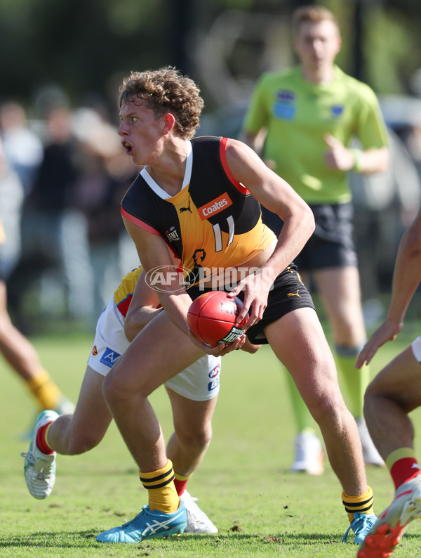 Coates League Boys 2024 Round 06 - Dandenong v Gold Coast SUNS Academy - A-48757391