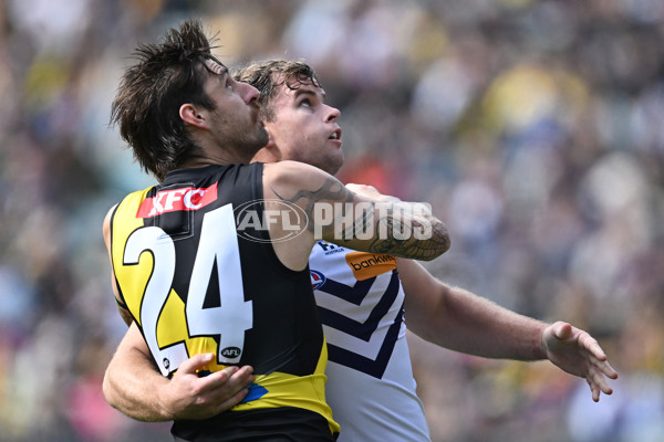 AFL 2024 Round 08 - Richmond v Fremantle - A-48757436