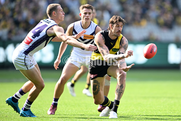 AFL 2024 Round 08 - Richmond v Fremantle - A-48759980