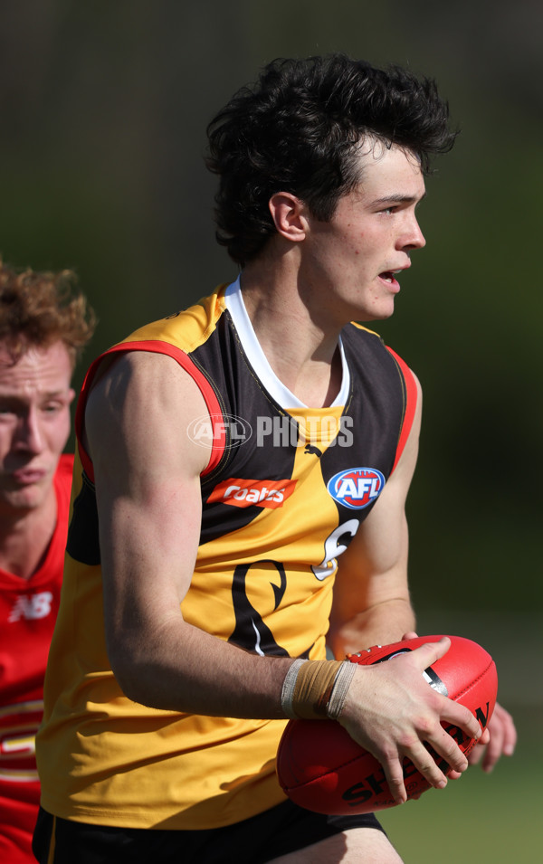 Coates League Boys 2024 Round 06 - Dandenong v Gold Coast SUNS Academy - A-48759996