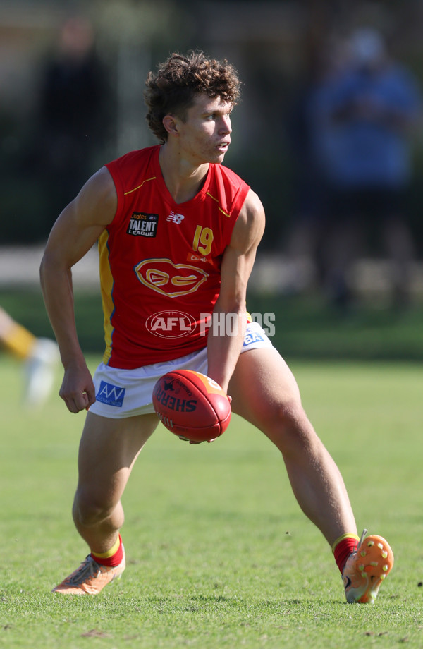 Coates League Boys 2024 Round 06 - Dandenong v Gold Coast SUNS Academy - A-48759997