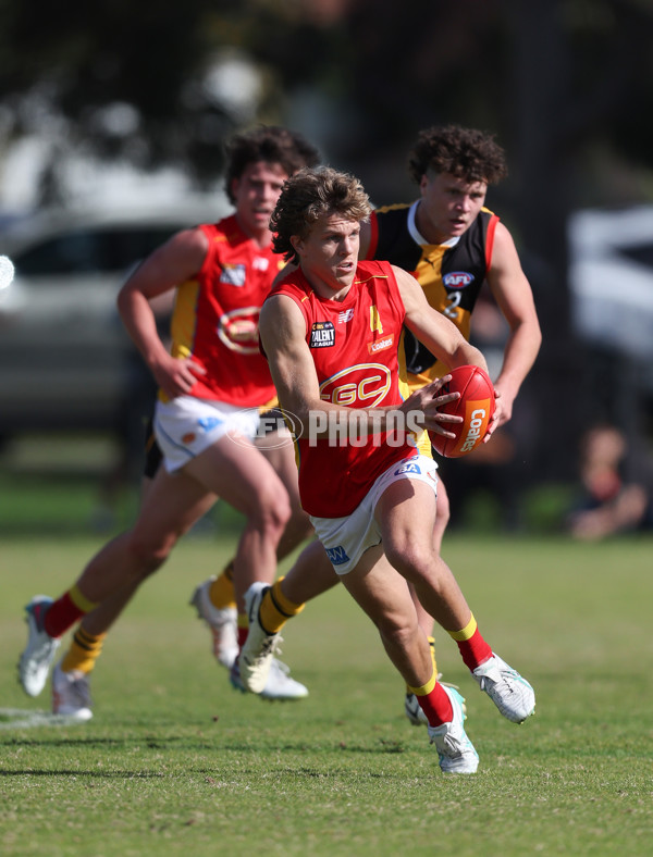 Coates League Boys 2024 Round 06 - Dandenong v Gold Coast SUNS Academy - A-48759998