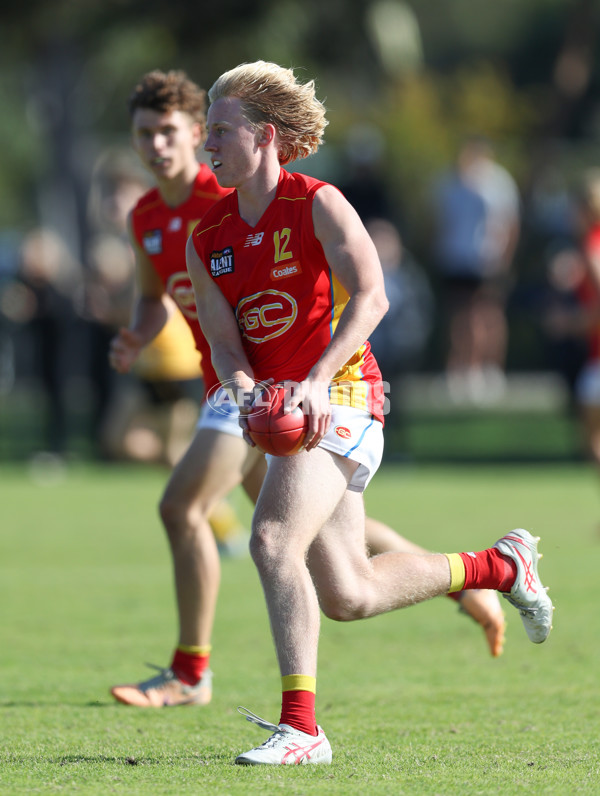 Coates League Boys 2024 Round 06 - Dandenong v Gold Coast SUNS Academy - A-48760001