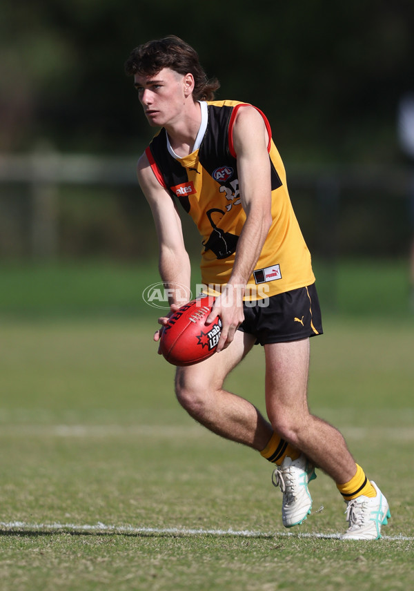 Coates League Boys 2024 Round 06 - Dandenong v Gold Coast SUNS Academy - A-48760003