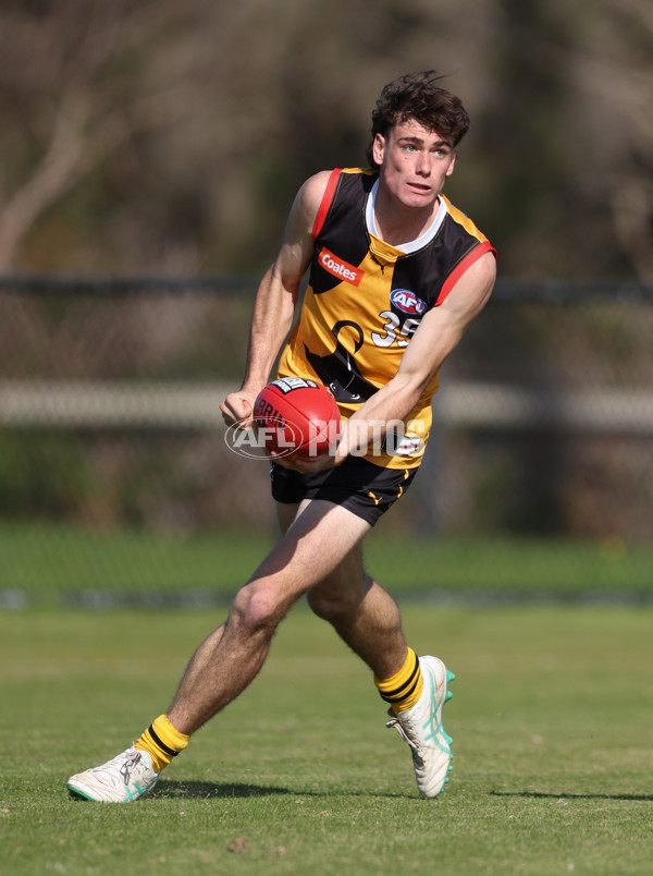 Coates League Boys 2024 Round 06 - Dandenong v Gold Coast SUNS Academy - A-48760286