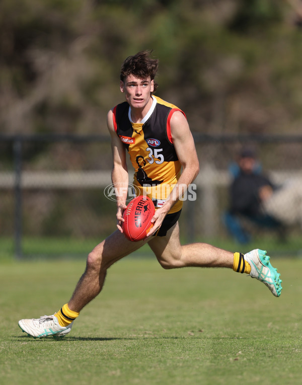 Coates League Boys 2024 Round 06 - Dandenong v Gold Coast SUNS Academy - A-48760287