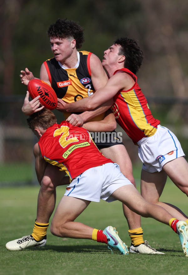 Coates League Boys 2024 Round 06 - Dandenong v Gold Coast SUNS Academy - A-48760289