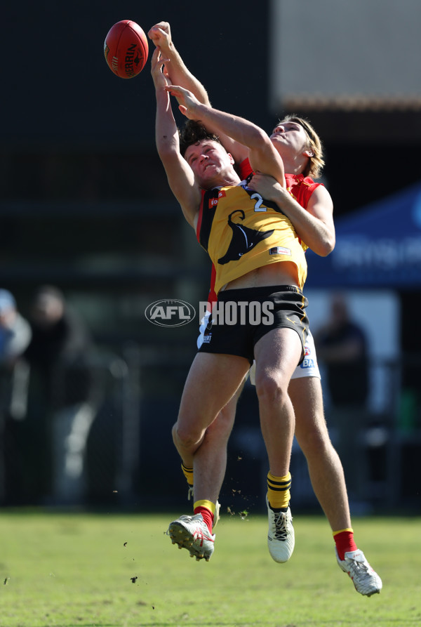 Coates League Boys 2024 Round 06 - Dandenong v Gold Coast SUNS Academy - A-48760290