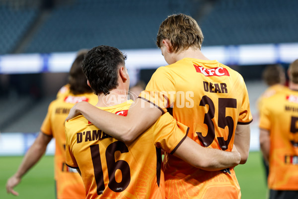 AFL 2024 Round 08 - Western Bulldogs v Hawthorn - A-48762555