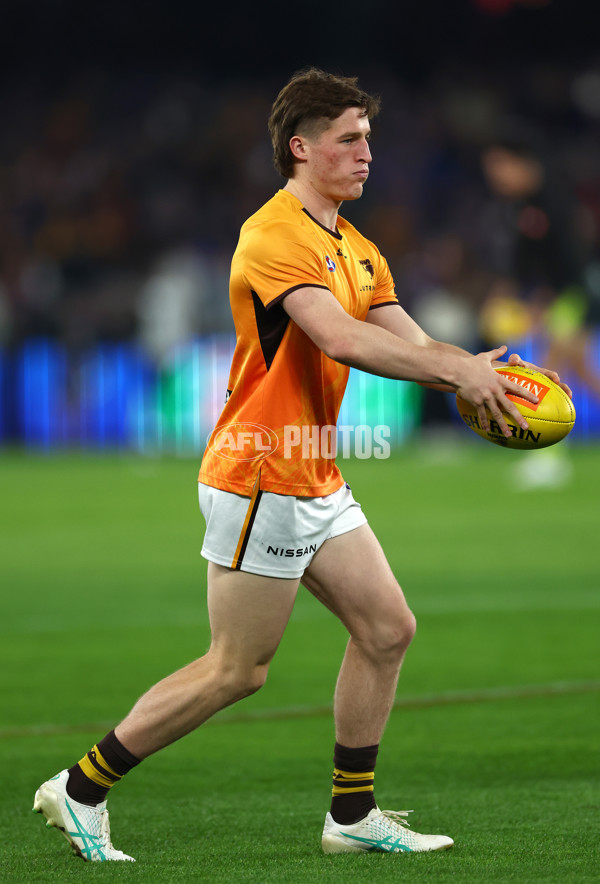 AFL 2024 Round 08 - Western Bulldogs v Hawthorn - A-48763081