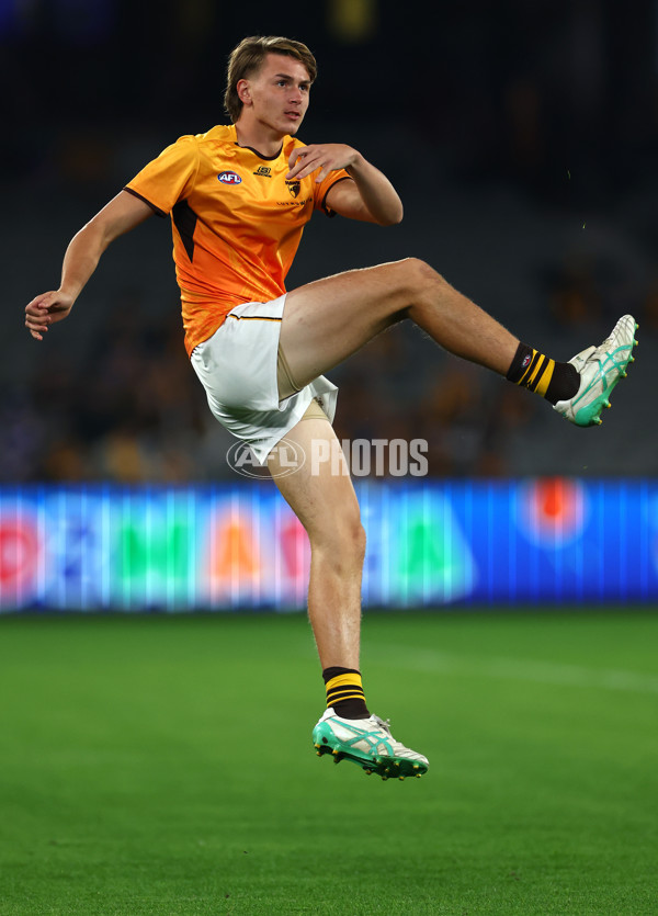 AFL 2024 Round 08 - Western Bulldogs v Hawthorn - A-48763082