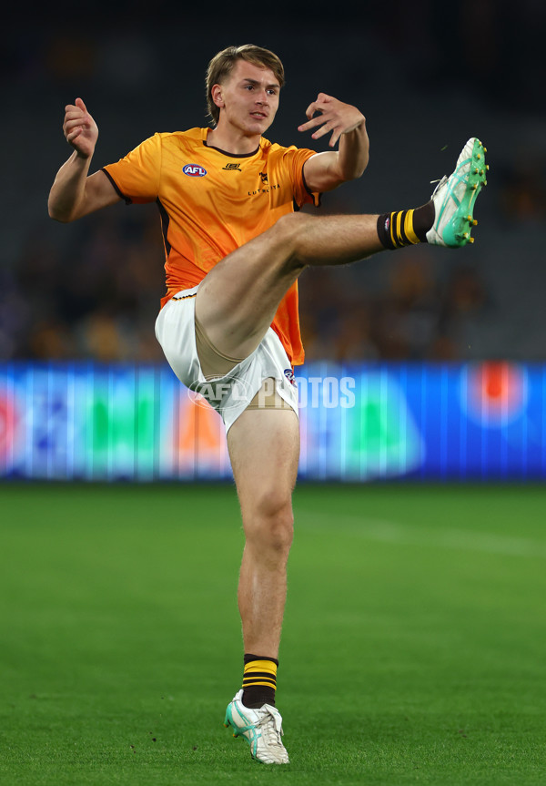 AFL 2024 Round 08 - Western Bulldogs v Hawthorn - A-48763083