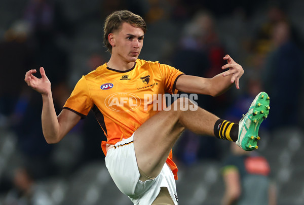 AFL 2024 Round 08 - Western Bulldogs v Hawthorn - A-48763088