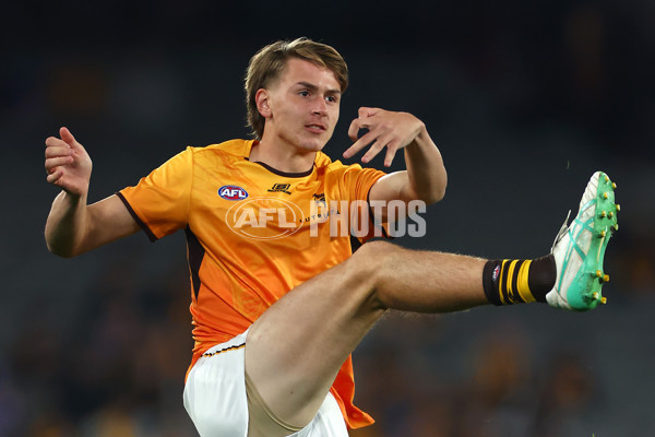 AFL 2024 Round 08 - Western Bulldogs v Hawthorn - A-48765031