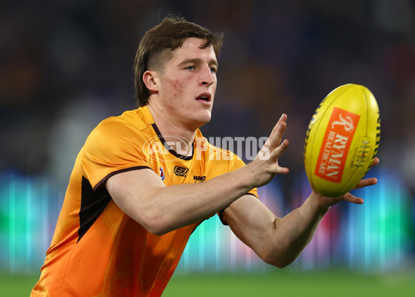 AFL 2024 Round 08 - Western Bulldogs v Hawthorn - A-48765032