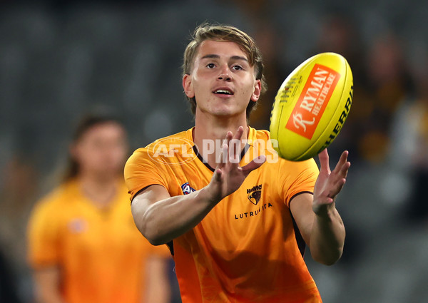 AFL 2024 Round 08 - Western Bulldogs v Hawthorn - A-48765036