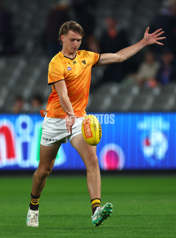 AFL 2024 Round 08 - Western Bulldogs v Hawthorn - A-48765037