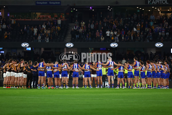 AFL 2024 Round 08 - Western Bulldogs v Hawthorn - A-48765092