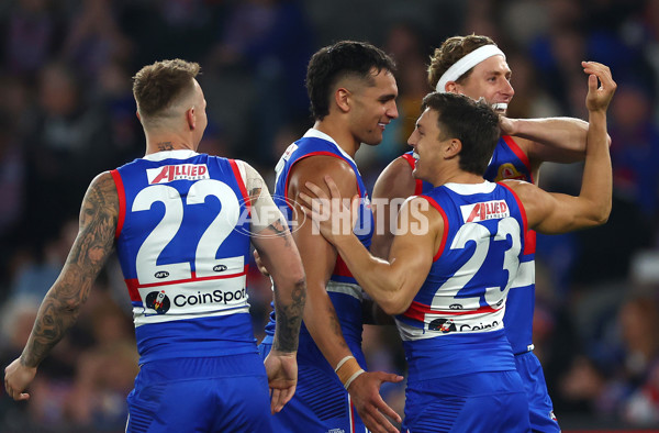AFL 2024 Round 08 - Western Bulldogs v Hawthorn - A-48765093