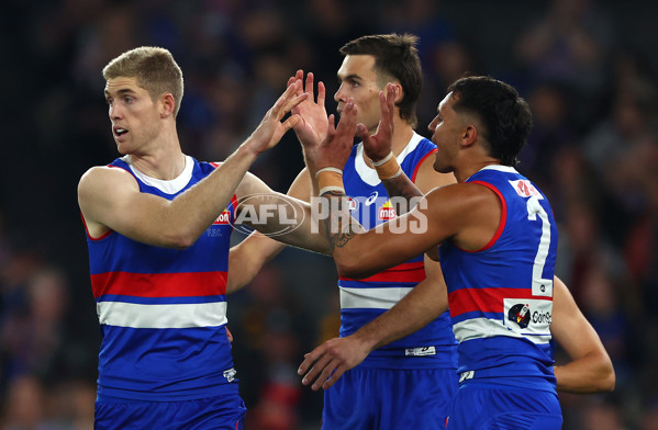 AFL 2024 Round 08 - Western Bulldogs v Hawthorn - A-48765970