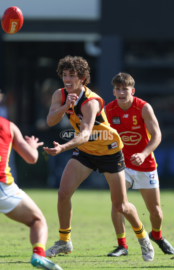 Coates League Boys 2024 Round 06 - Dandenong v Gold Coast SUNS Academy - A-48766002