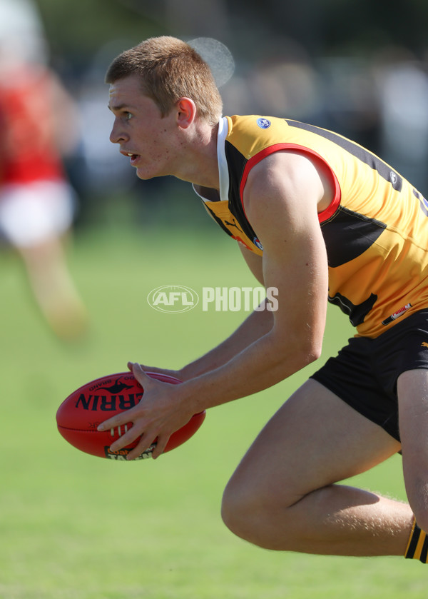 Coates League Boys 2024 Round 06 - Dandenong v Gold Coast SUNS Academy - A-48766004