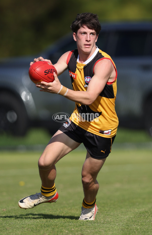 Coates League Boys 2024 Round 06 - Dandenong v Gold Coast SUNS Academy - A-48766006