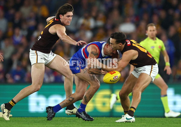AFL 2024 Round 08 - Western Bulldogs v Hawthorn - A-48766012