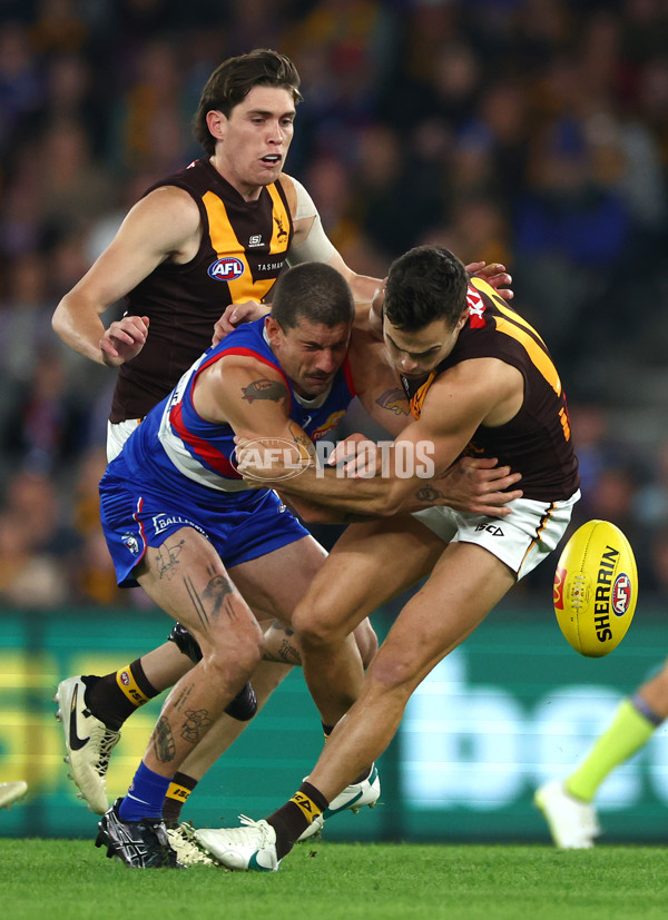 AFL 2024 Round 08 - Western Bulldogs v Hawthorn - A-48766013