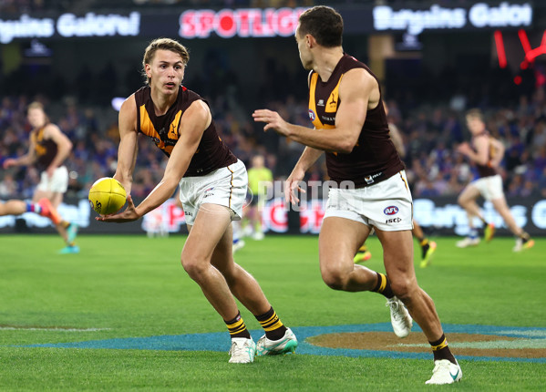 AFL 2024 Round 08 - Western Bulldogs v Hawthorn - A-48766015