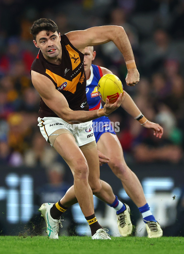 AFL 2024 Round 08 - Western Bulldogs v Hawthorn - A-48766016