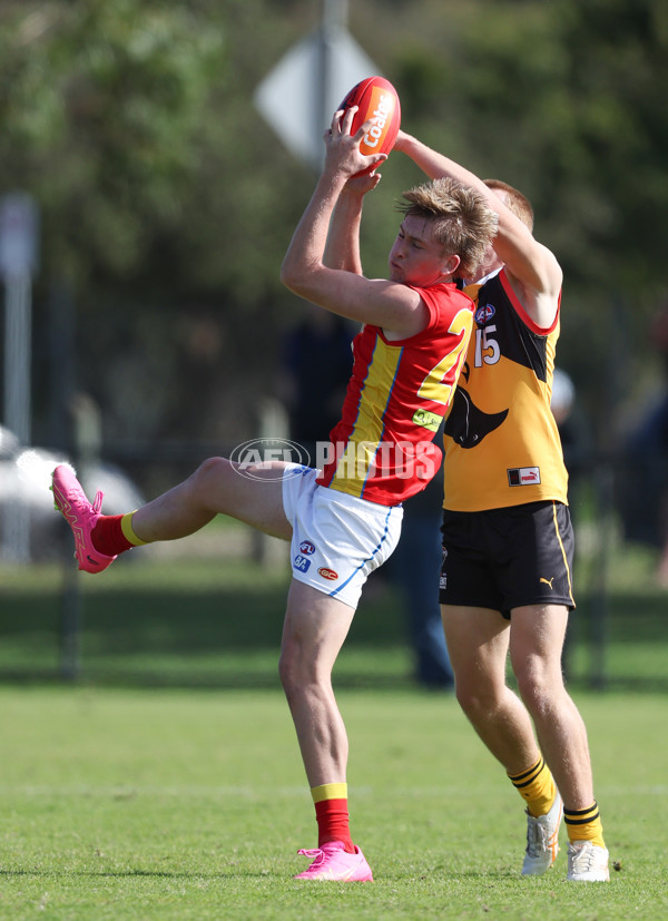 Coates League Boys 2024 Round 06 - Dandenong v Gold Coast SUNS Academy - A-48767556