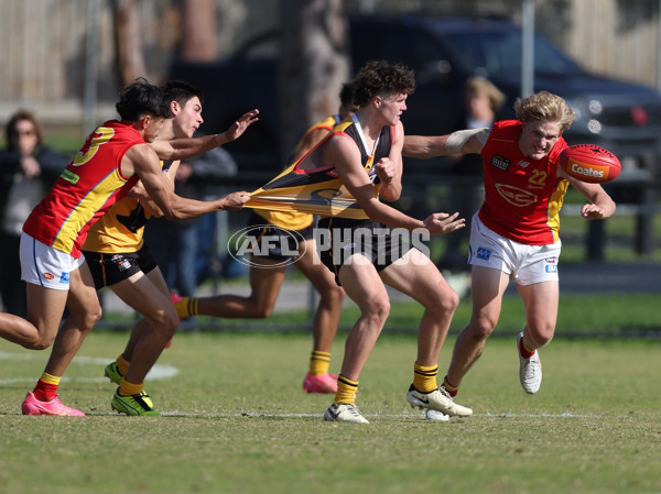 Coates League Boys 2024 Round 06 - Dandenong v Gold Coast SUNS Academy - A-48767558