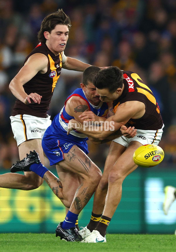 AFL 2024 Round 08 - Western Bulldogs v Hawthorn - A-48767569