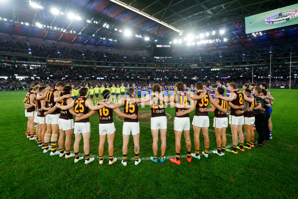 AFL 2024 Round 08 - Western Bulldogs v Hawthorn - A-48767597