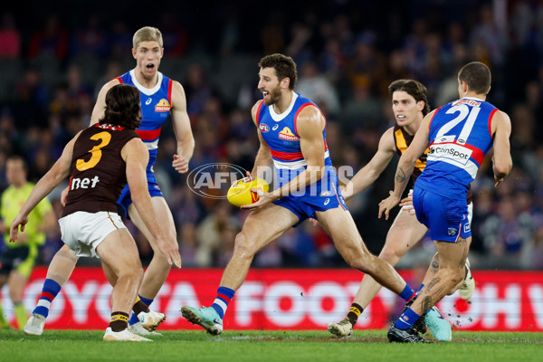 AFL 2024 Round 08 - Western Bulldogs v Hawthorn - A-48767598