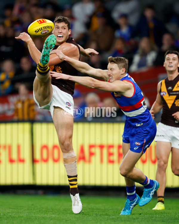 AFL 2024 Round 08 - Western Bulldogs v Hawthorn - A-48767606